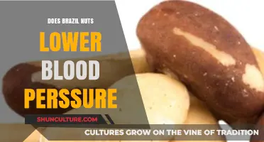 Can Brazil Nuts Help Lower Blood Pressure? Discover the Facts