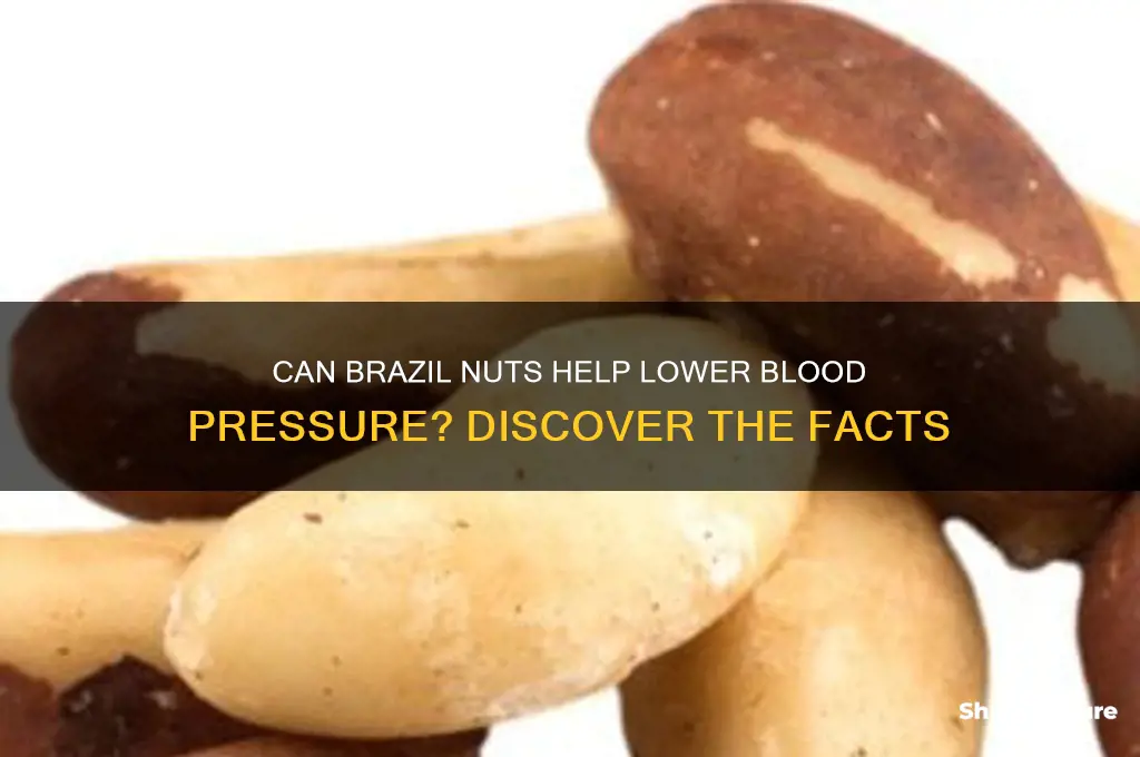 does brazil nuts lower blood perssure