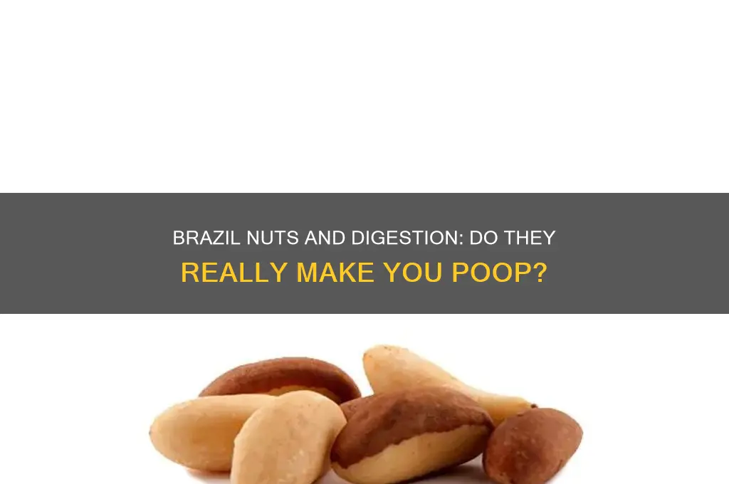 does brazil nuts make you poop