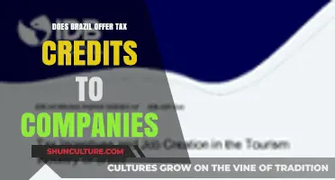 Brazil's Tax Incentives: Do Companies Qualify for Tax Credits?