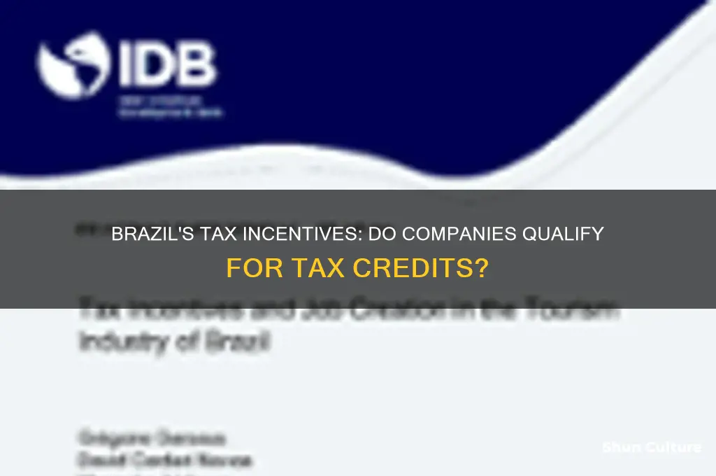 does brazil offer tax credits to companies