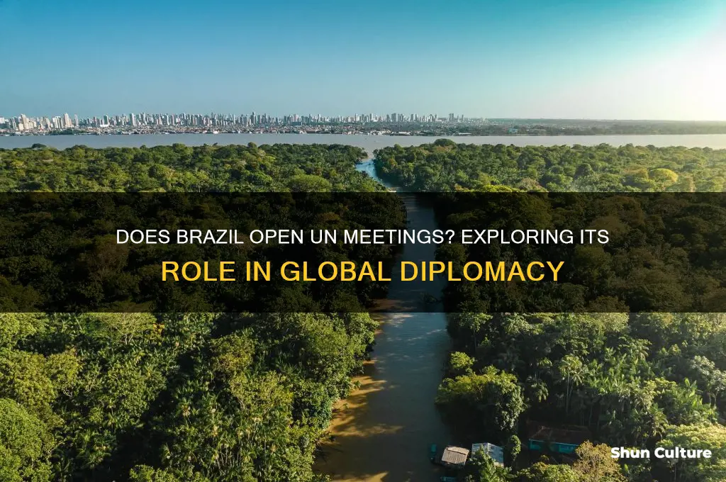 does brazil open un meetings