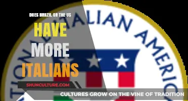 Italian Diaspora: Comparing Populations in Brazil vs. the United States