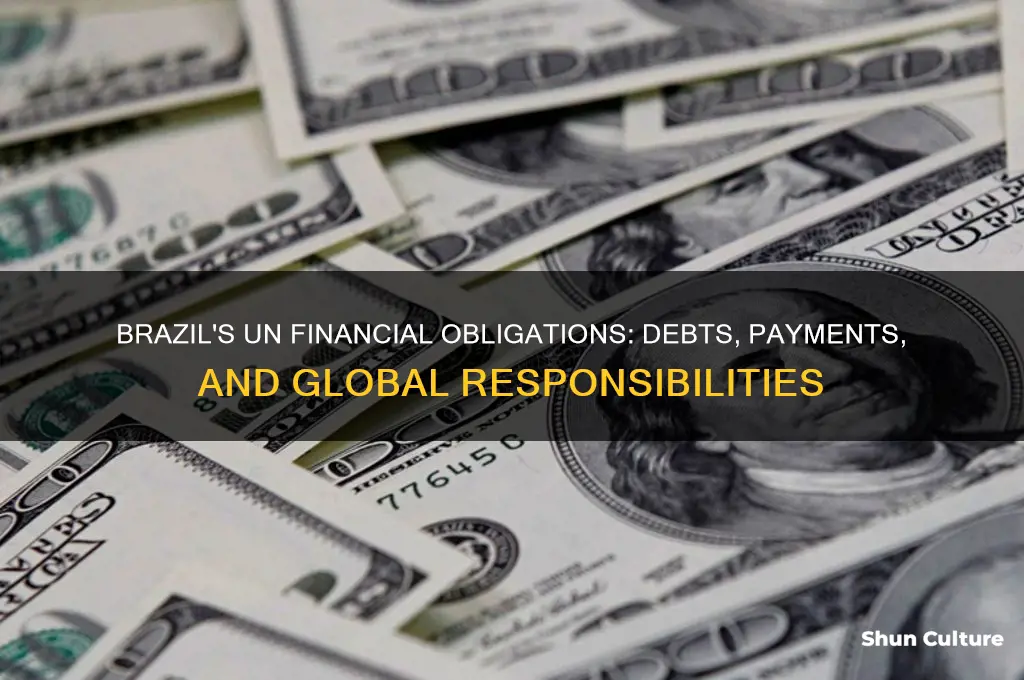 does brazil owe any payments to the un