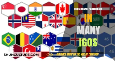 Brazil's Global Engagement: Active Participation in Numerous IGOs Explored
