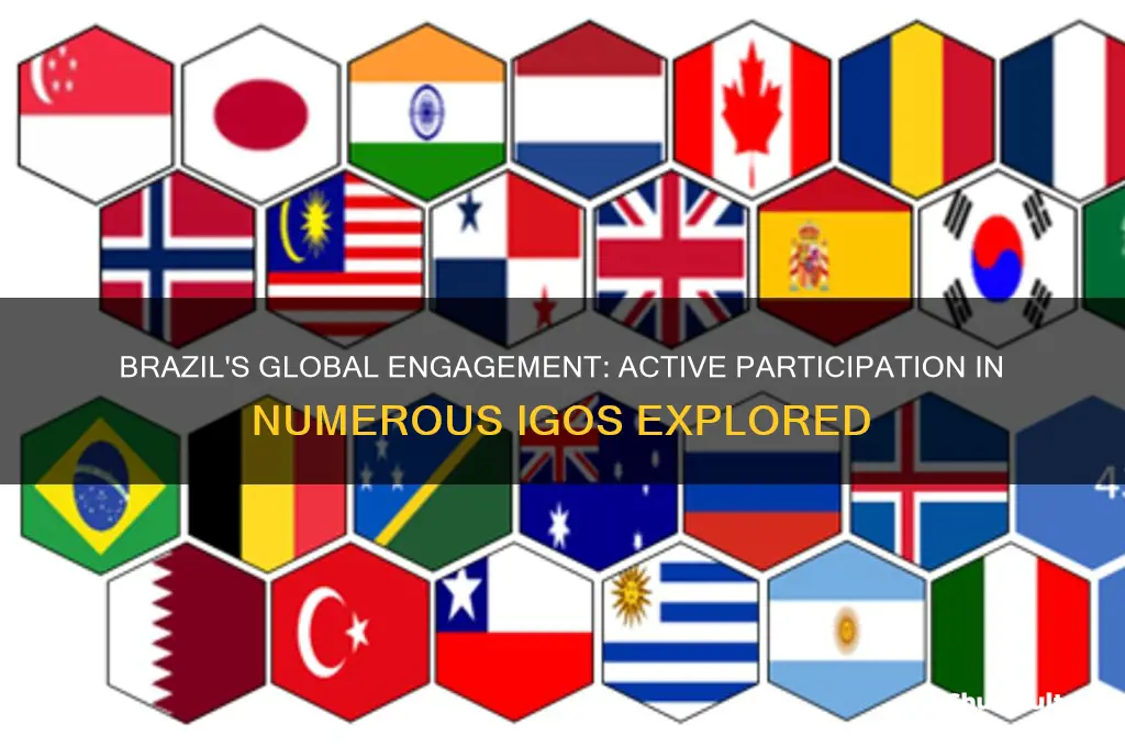 does brazil participate in many igos