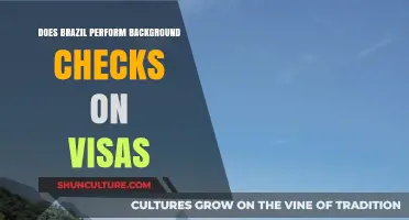 Brazil Visa Background Checks: What You Need to Know