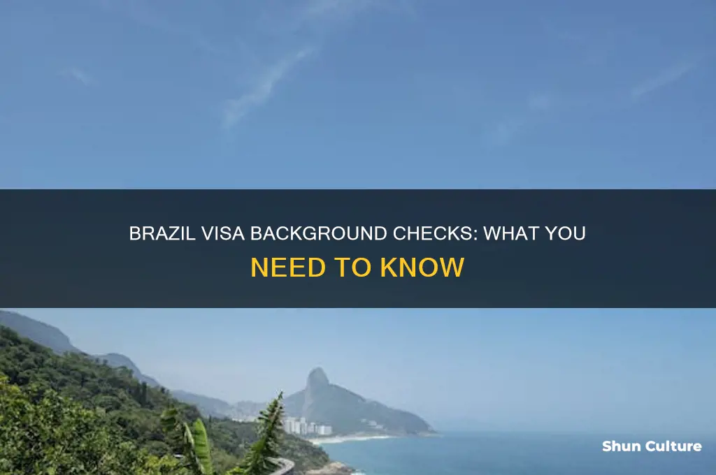 does brazil perform background checks on visas