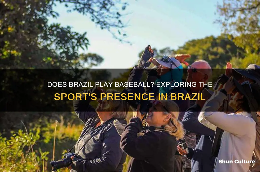 does brazil play baseball