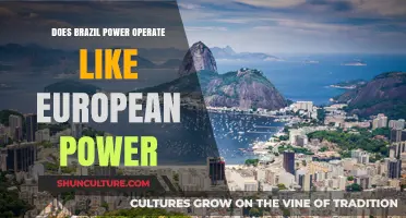 Brazil vs. Europe: Comparing Power Sector Operations and Models