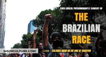 Exploring Brazil's Racial Diversity: Beyond the Myth of a Single Race