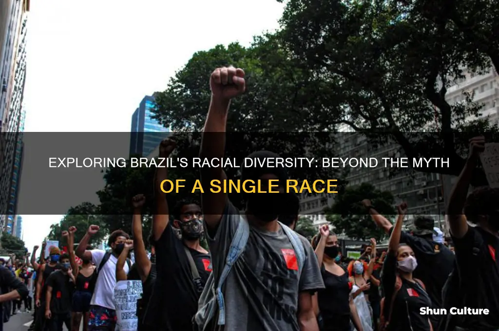 does brazil predominantly consist of the brazilian race