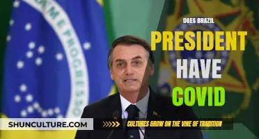 Brazil's President Tests Positive: COVID-19 Diagnosis Confirmed Amid Pandemic