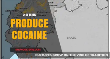Brazil's Role in the Global Cocaine Trade: Fact or Fiction?
