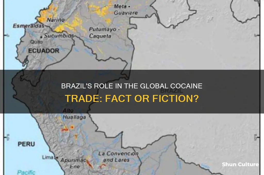 does brazil produce cocaine