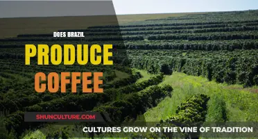 Brazil's Coffee Production: A Global Leader in Brewing Excellence