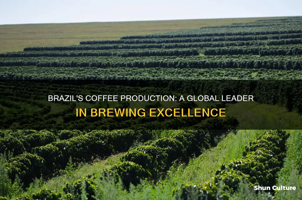 does brazil produce coffee