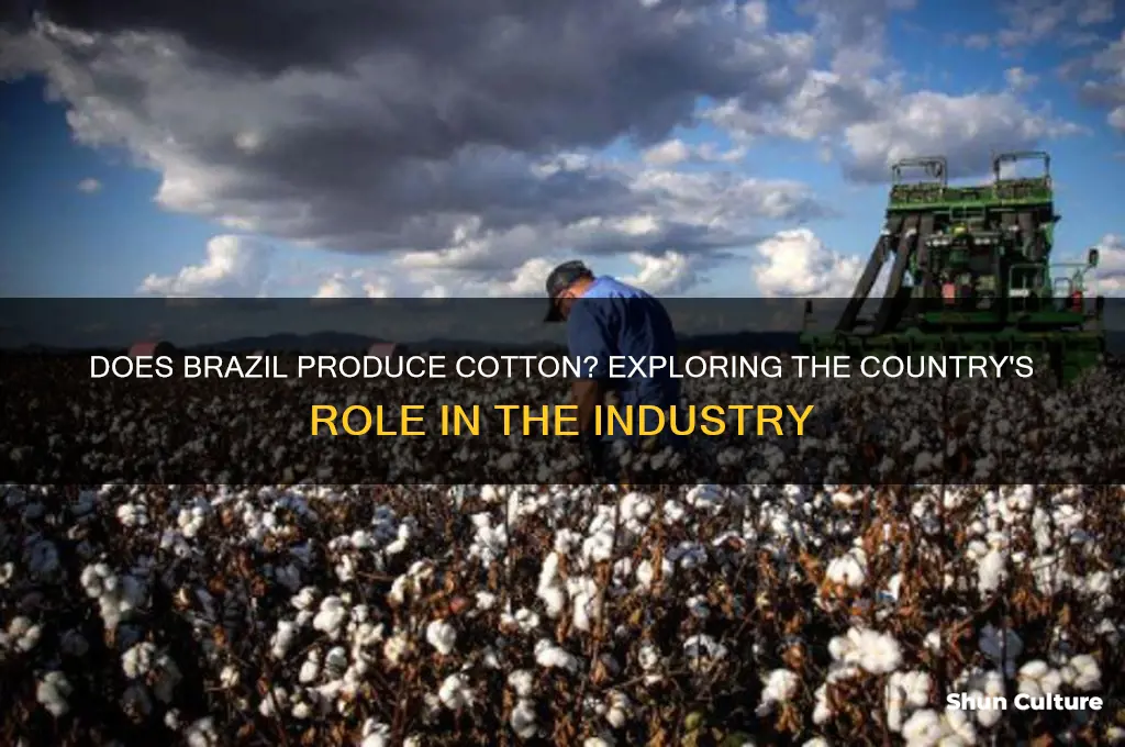 does brazil produce cotton