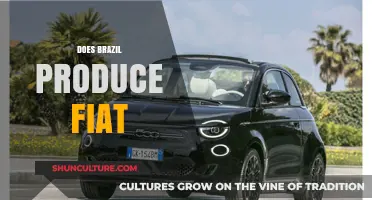 Does Brazil Produce Fiat Cars? Exploring the Automotive Industry