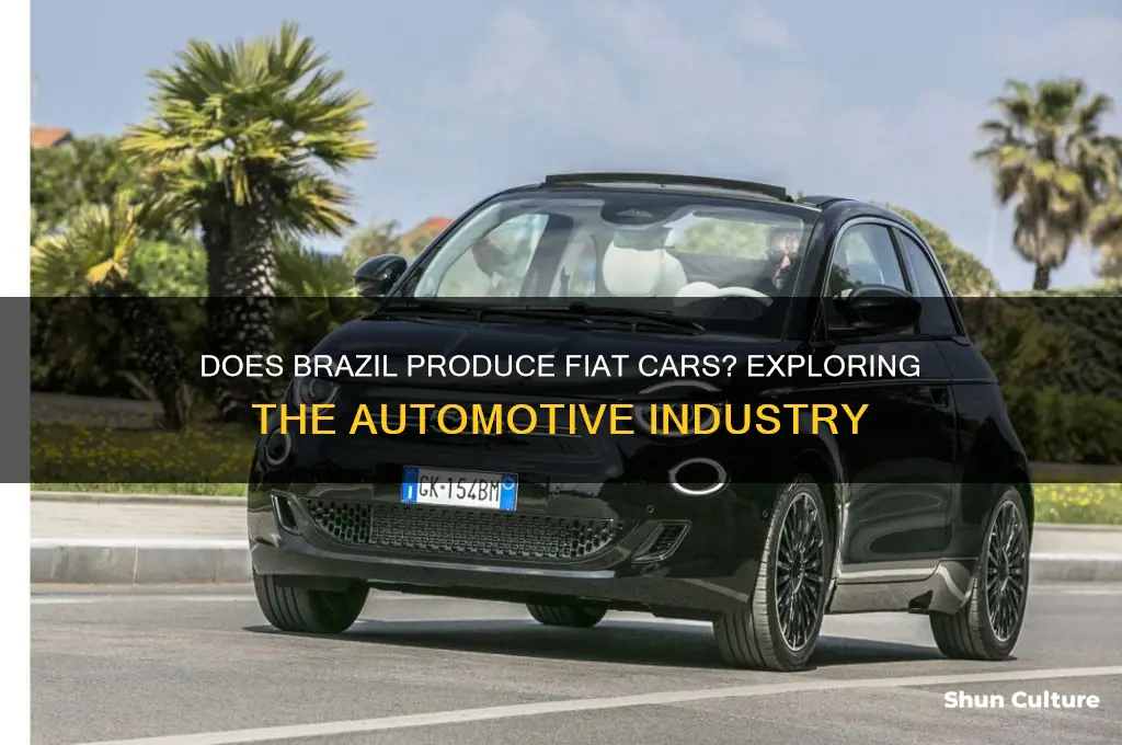 does brazil produce fiat