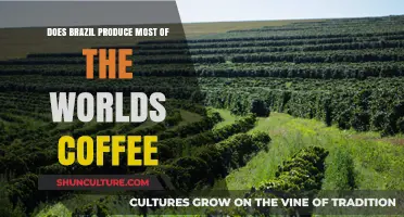 Brazil's Coffee Dominance: Is It the World's Top Producer?