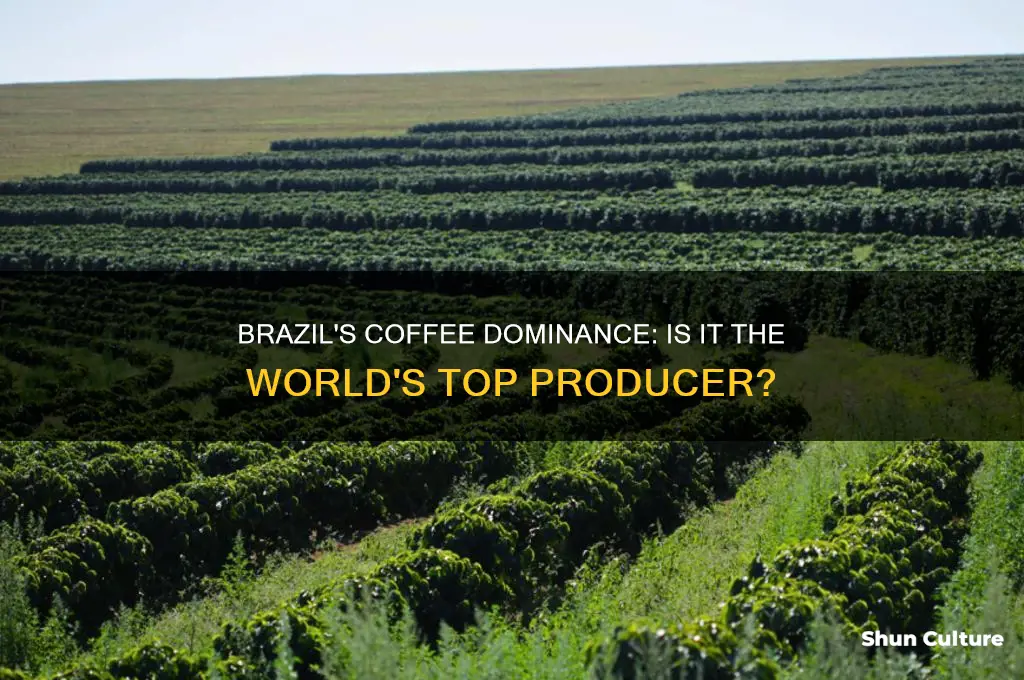 does brazil produce most of the worlds coffee