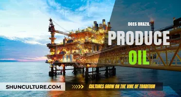 Brazil's Oil Production: A Deep Dive into Its Energy Sector