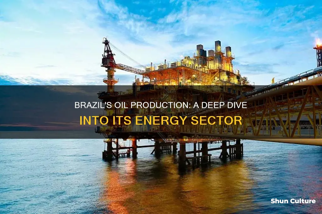 does brazil produce oil