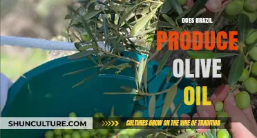 Does Brazil Produce Olive Oil? Exploring the Country's Oil Industry
