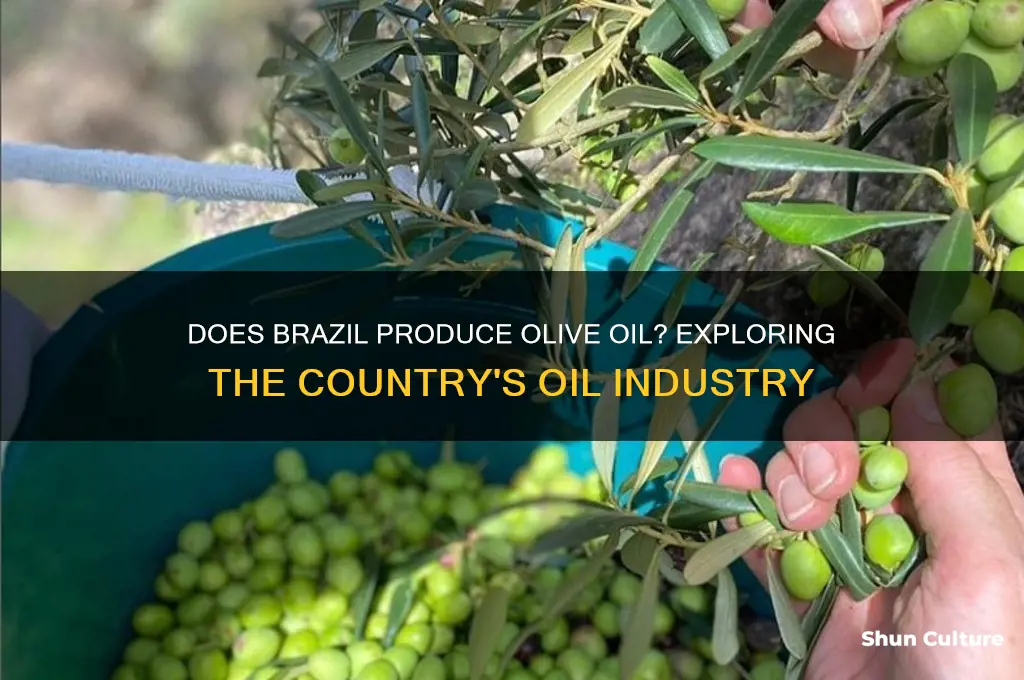 does brazil produce olive oil