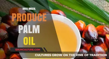 Brazil's Palm Oil Production: Facts, Impact, and Sustainability Explained