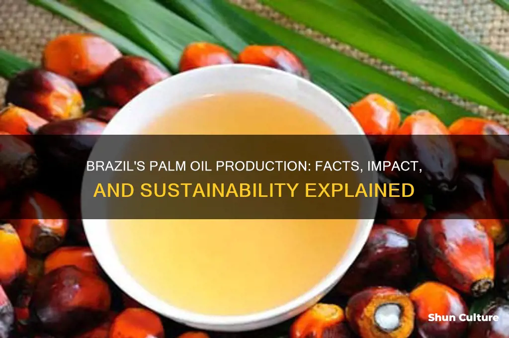 does brazil produce palm oil