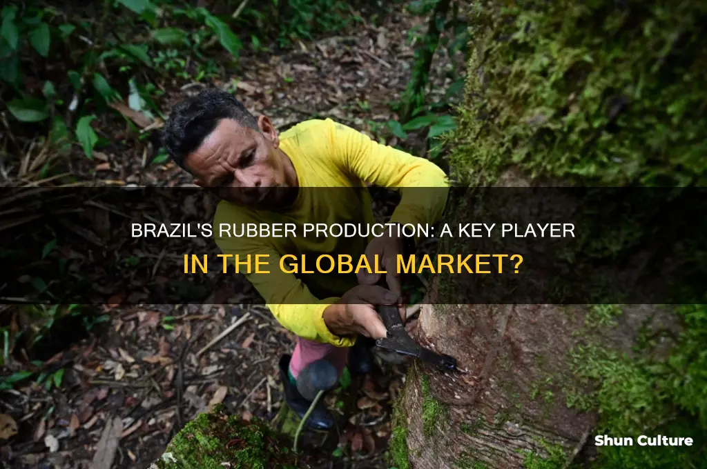 does brazil produce rubber
