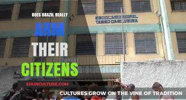 Brazil's Gun Laws: Do They Truly Empower Citizen Armament?