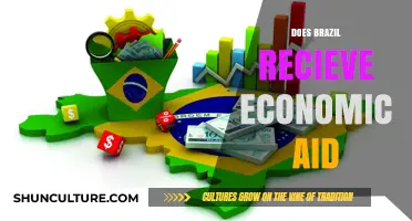 Does Brazil Receive Economic Aid? Exploring Financial Support and Partnerships