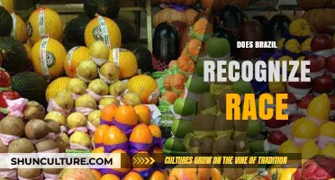Brazil's Racial Recognition: Unraveling Identity, Culture, and Social Dynamics