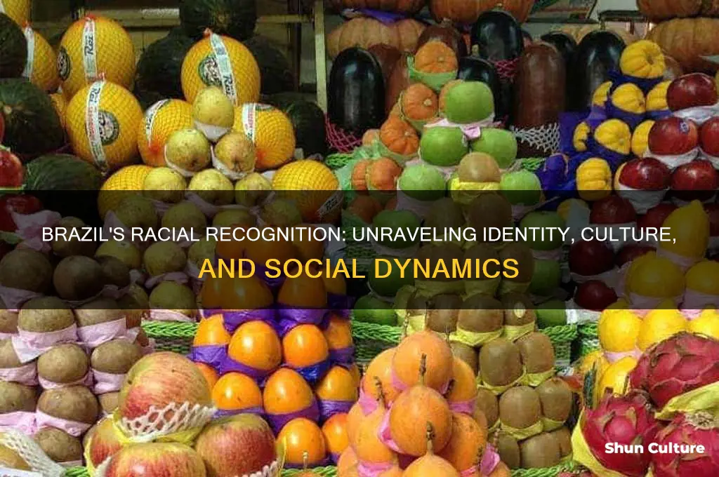 does brazil recognize race