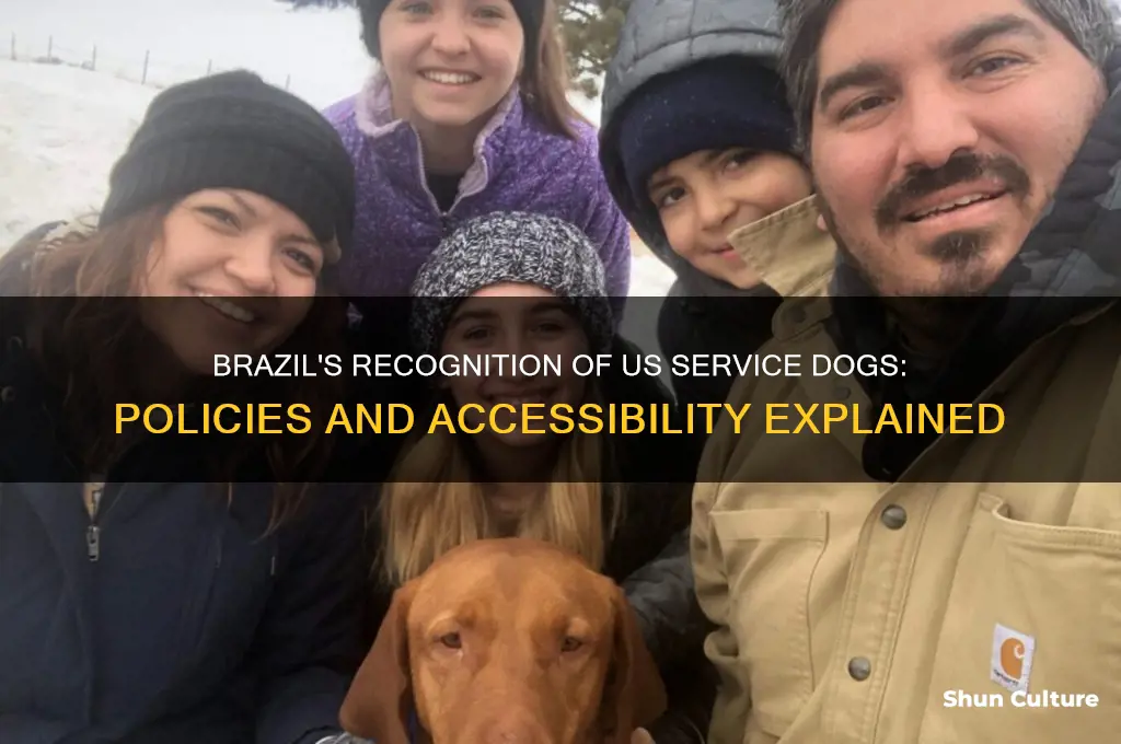 does brazil recognize us serivice dogs