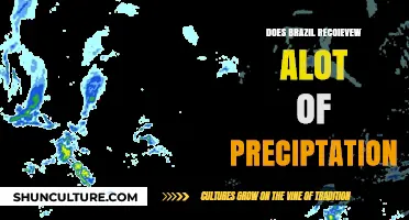 Brazil's Rainfall: Understanding the Country's High Precipitation Levels