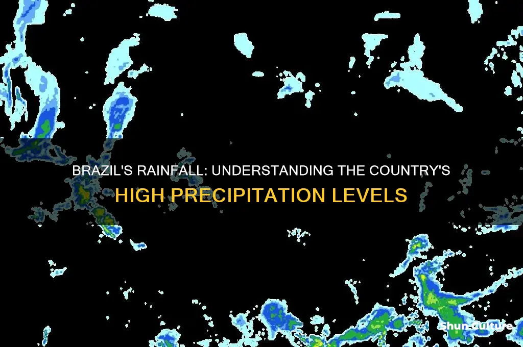 does brazil recoievew alot of preciptation