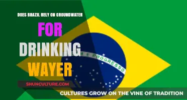 Brazil's Groundwater Dependence: A Critical Source for Drinking Water?