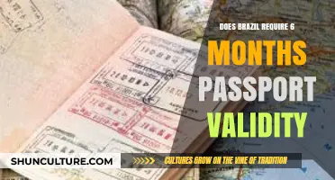 Traveling to Brazil: Passport Validity Requirements Explained