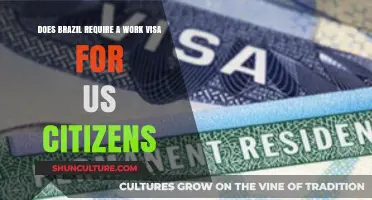 Do US Citizens Need a Work Visa for Brazil?
