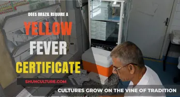 Traveling to Brazil? Yellow Fever Certificate Requirements Explained