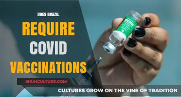 Brazil's COVID-19 Vaccination Requirements: What Travelers Need to Know