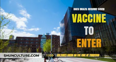 Traveling to Brazil: COVID-19 Vaccine Requirements and Entry Rules