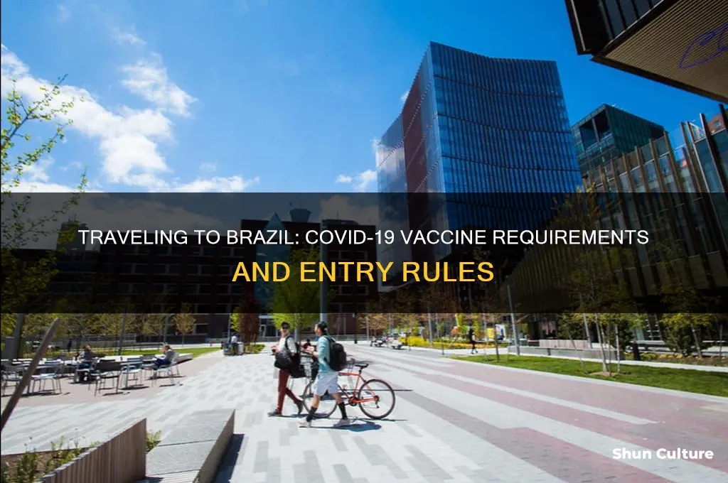 does brazil require covid vaccine to enter
