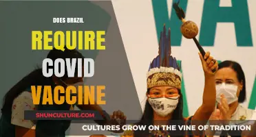 Brazil's COVID-19 Vaccine Requirements: What Travelers Need to Know