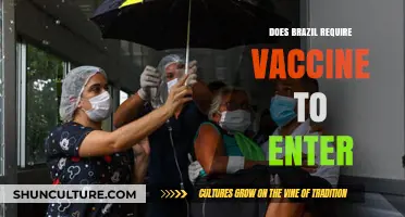 Brazil Entry Requirements: COVID-19 Vaccine Mandates and Travel Updates