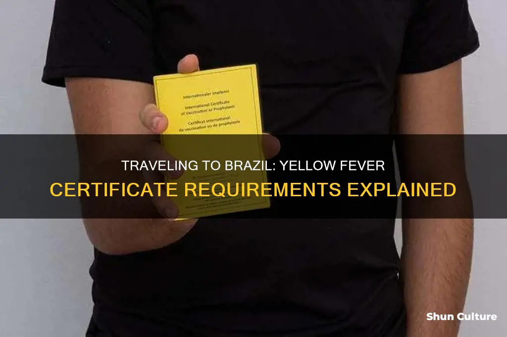 does brazil require yellow certificate